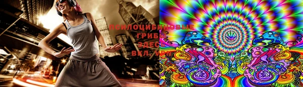 apvp Алексеевка