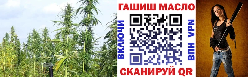 как найти наркотики  Чекалин  Дистиллят ТГК гашишное масло 