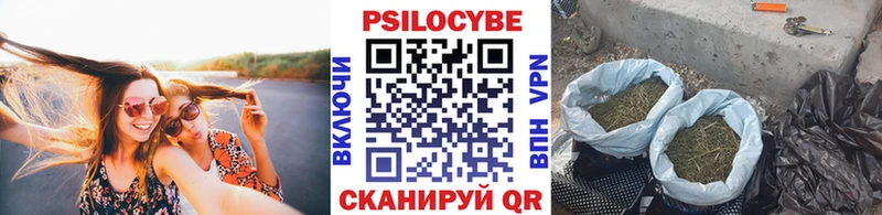 Галлюциногенные грибы мухоморы  Чекалин 