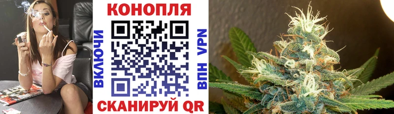 Бошки Шишки OG Kush Чекалин